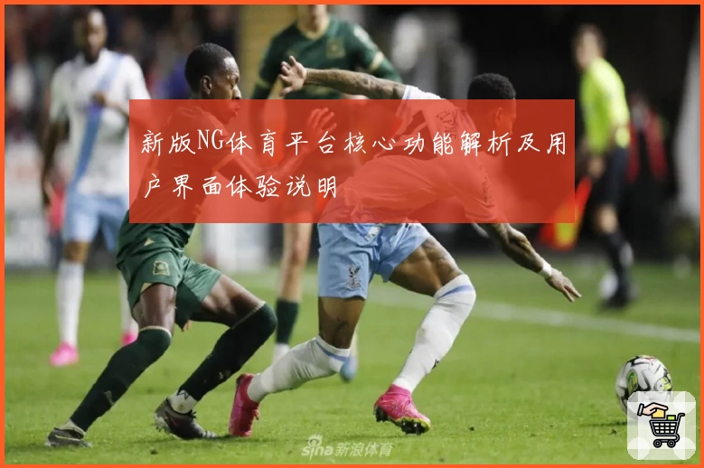 新版NG体育平台核心功能解析及用户界面体验说明